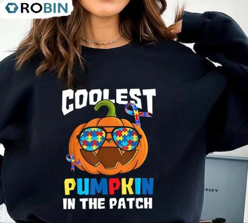 Coolest Pumpkin In The Patch Shirt, Autism Awareness Unisex Hoodie Sweatshirt