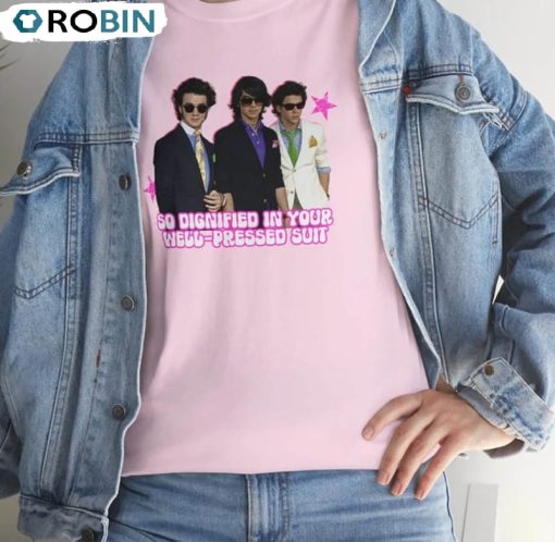 Jonas Brothers Ironic So Dignified In Your Well Shirt, Mr Perfectly Hoodie Sweatshirt