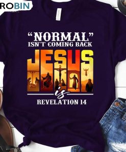 Normal Isnt Coming Back Jesus Is Shirt, American Flag Unisex Shirt