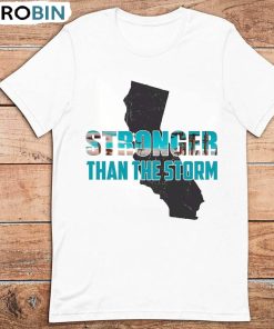 Stronger Than The Storm Shirt, I Survived Hurricane Hilary Hoodie, Sweatshirt