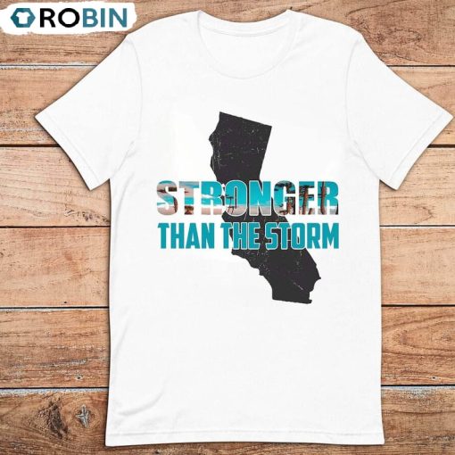 Stronger Than The Storm Shirt, I Survived Hurricane Hilary Hoodie, Sweatshirt