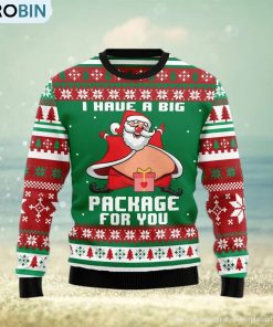 I Have A Big Package For You Ugly Christmas Sweater Gift Men Women