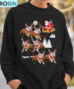 christmas-santa-riding-english-bulldog-xmas-ugly-christmas-sweatshirt-3
