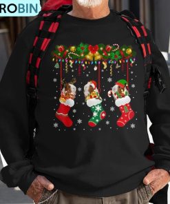 guinea-pig-in-xmas-socks-christmas-santa-elf-reindeer-lover-ugly-christmas-sweatshirt-1