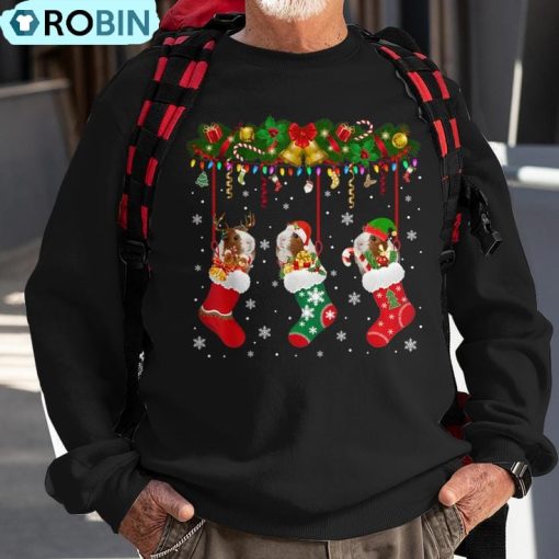 Guinea Pig In Xmas Socks Christmas Santa Elf Reindeer Lover Ugly Christmas Sweatshirt