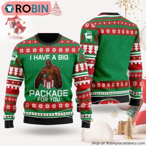 I Have A Big Package For You Ugly Christmas Sweater, Xmas Sweatshirt, Christmas Gift for Men & Women