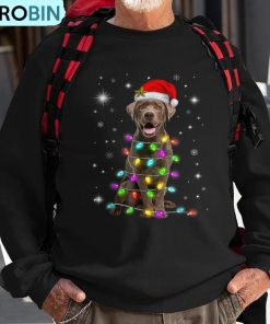 lab-xmas-chocolate-labrador-santa-hat-christmas-fairy-light-ugly-christmas-sweatshirt-1