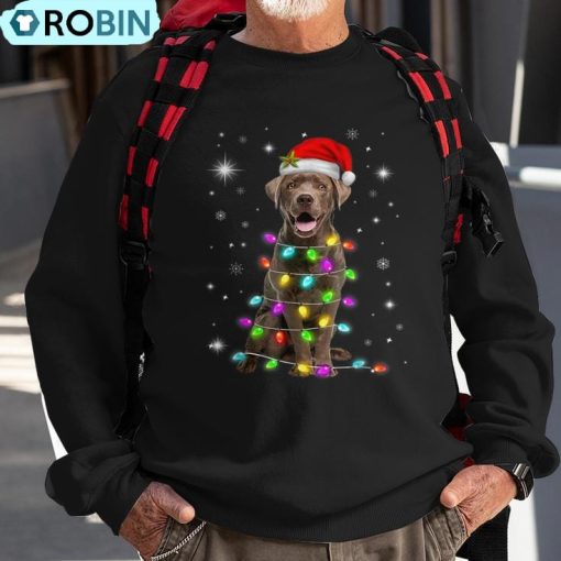 Lab Xmas Chocolate Labrador Santa Hat Christmas Fairy Light Ugly Christmas Sweatshirt