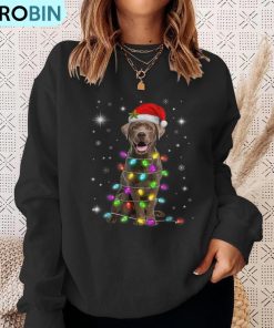 lab-xmas-chocolate-labrador-santa-hat-christmas-fairy-light-ugly-christmas-sweatshirt-4