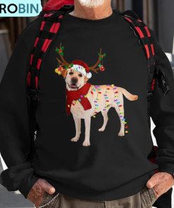 santa-labrador-retriever-reindeer-light-christmas-ugly-christmas-sweatshirt-1