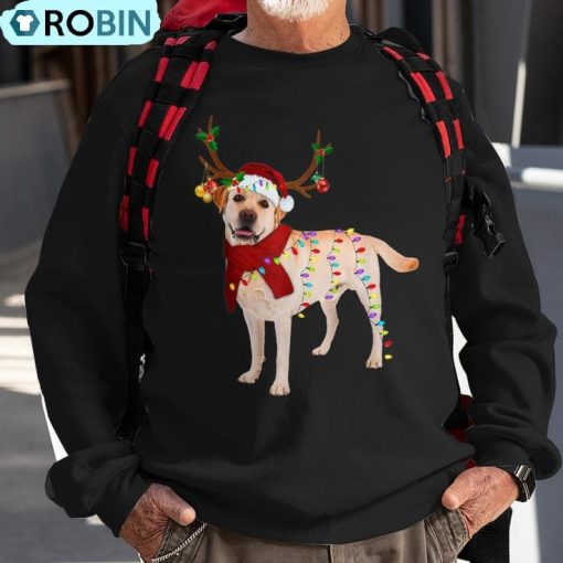 Santa Labrador Retriever Reindeer Light Christmas Ugly Christmas Sweatshirt