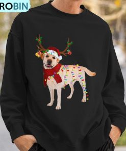 santa-labrador-retriever-reindeer-light-christmas-ugly-christmas-sweatshirt-3