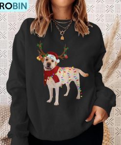 santa-labrador-retriever-reindeer-light-christmas-ugly-christmas-sweatshirt-4