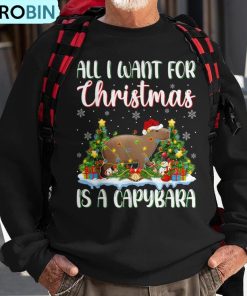 xmas-lighting-santa-all-i-want-for-christmas-is-a-capybara-ugly-christmas-sweatshirt-1