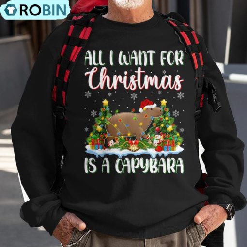 Xmas Lighting Santa All I Want For Christmas Is A Capybara Ugly Christmas Sweatshirt