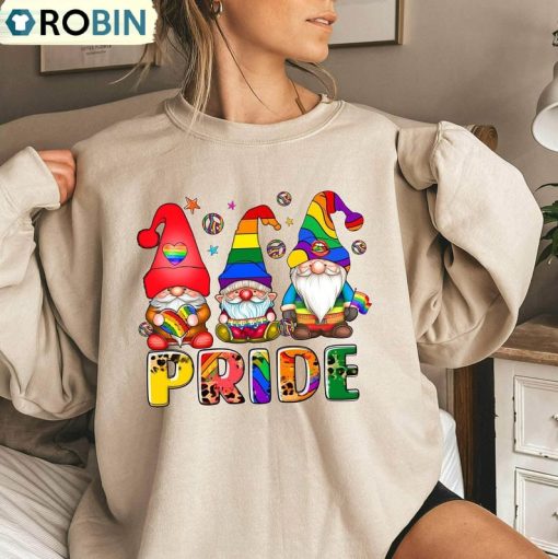 Cute Lgbtq Christmas Gnome Sweatshirt, Pride Human Rights Shirt Unisex T Shirt