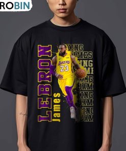 Lebron James Shirt, Vintage 90s Basketball Unisex Hoodie, Sweatshirt