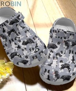 Dog Border Collie Dog Crocs For Dog Love
