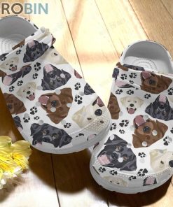 Dog  Labrador Crocs For Dog Love