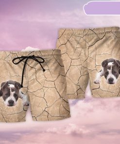 Pitbull On The Ground Beach Short, Gift for Holiday Summer