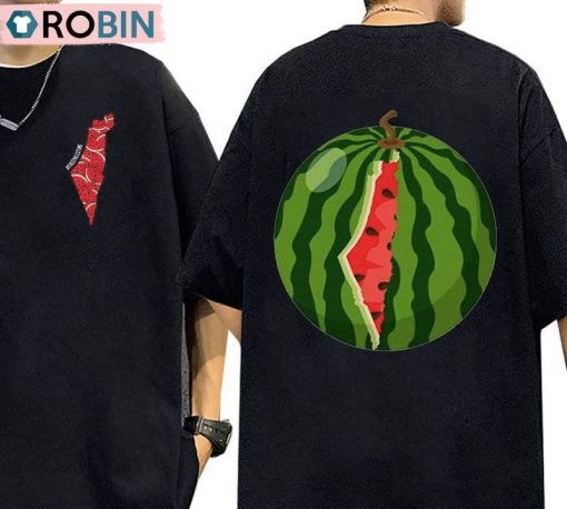 Palestine Vibes Watermelon Shirt, Refresh Your Style Unisex Hoodie Long Sleeve