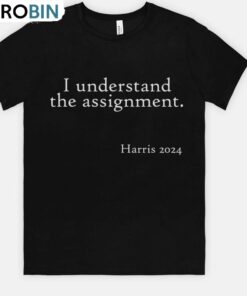 Basic I Understand The Assignment Shirt, Political Quotes Long Sleeve Sweatshirt