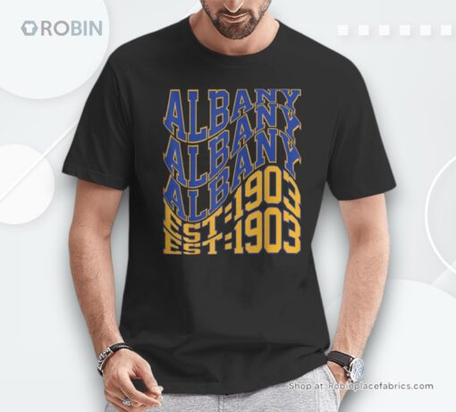 Retro Albany Wave Text City Vintage State Unisex Shirt