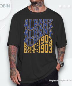 Retro Albany Wave Text City Vintage State Unisex Shirt