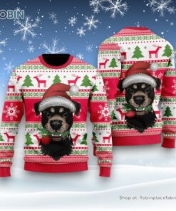 Dog Santas Hat Holiday Ugly Christmas Sweatshirt, Sweater, Christmas Gift For Dog Love