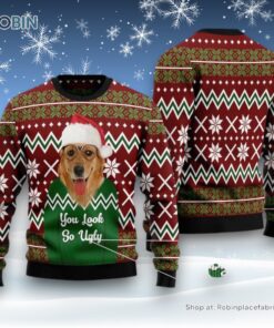 Dog Ugly Christmas Sweatshirt, Sweater, Labrador Retriever You Look So Ugly Ugly Christmas Sweatshirt, Sweater, Funny Xmas Sweater