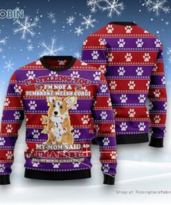 Dog Ugly Christmas Sweatshirt, Sweater, Pembroke Welsh Corgi Baby Christmas Ugly Christmas Sweatshirt, Sweater, Funny Xmas Sweater