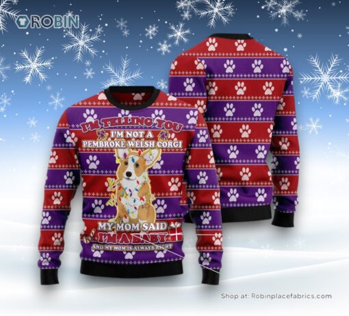 Dog Ugly Christmas Sweatshirt, Sweater, Pembroke Welsh Corgi Baby Christmas Ugly Christmas Sweatshirt, Sweater, Funny Xmas Sweater