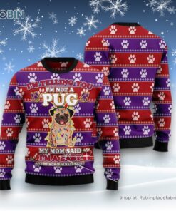 Dog Ugly Christmas Sweatshirt, Sweater, Pug Baby Christmas Ugly Christmas Sweatshirt, Sweater, Funny Xmas Sweater