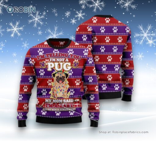 Dog Ugly Christmas Sweatshirt, Sweater, Pug Baby Christmas Ugly Christmas Sweatshirt, Sweater, Funny Xmas Sweater