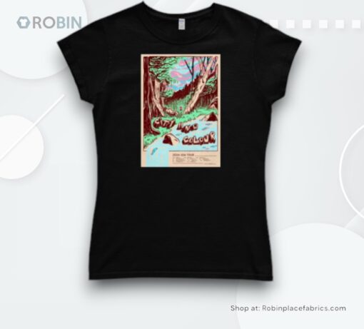 City And Colour 2024 Usa Tour Shirt