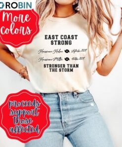 Florida Strong T Shirt, Hurricane Milton Appalachia Shirt