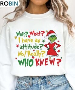 Wait What I Have An Attitude No Really Who Knew Sweatshirt, Merry Christmas Shirt, Long Sleeve Cotton, Hoodie