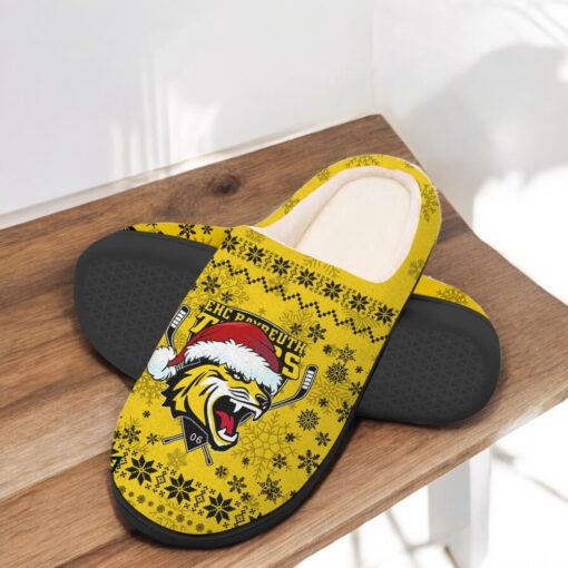 Bayreuth Tigers In House Slippers