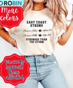 Florida Strong T Shirt, Hurricane Milton Appalachia Shirt