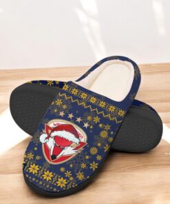 Lausitzer Füchse In House Slippers