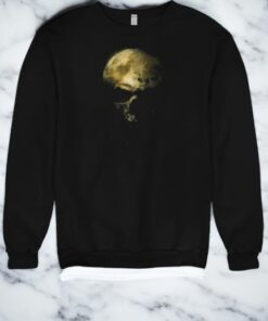 Skull And Moon Shirt Skull And Moon Shirt