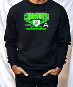 Stetson University Baseball 2024 Asun Tournament Champions Shirt