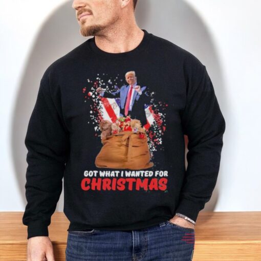 Trump Won Us President Got What I Wanted For Christmas Republican Supporter Shirt