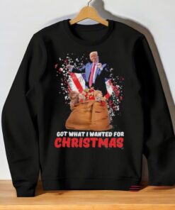 Trump Won Us President Got What I Wanted For Christmas Republican Supporter Shirt Trump Won Us President Got What I Wanted For Christmas Republican Supporter Shirt