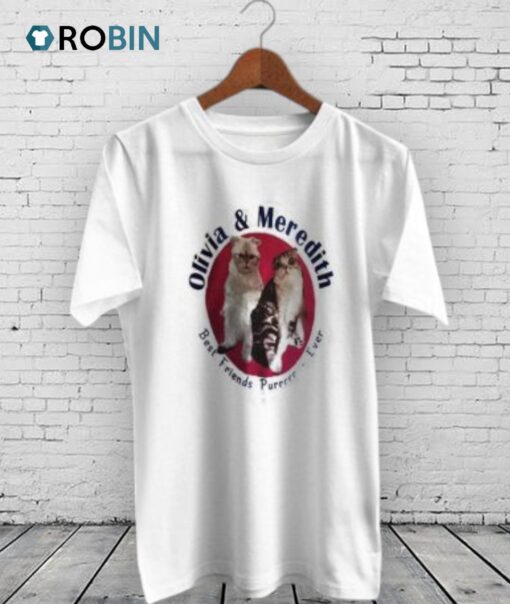 Stealing The Show Best Friends Cat Taylor Swift Shirt