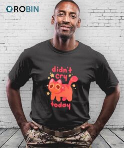 Didn’t Cry Today Cat Shirt Didn’t Cry Today Cat Shirt