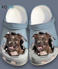 Pitbull Hello Clog Shoes