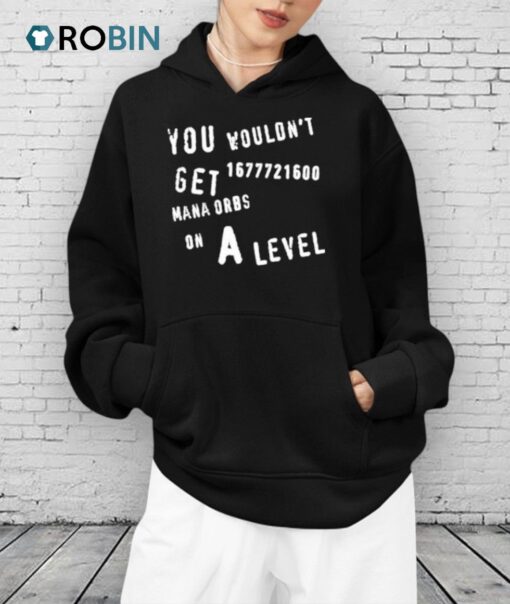 You Wouldn’t Get 1677721600 Mana Orbs On A Level Shirt