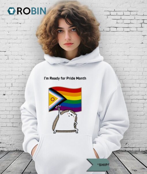 Hedgehog I’m Ready For Pride Month Flag 2025 Shirt