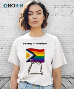 Hedgehog I’m Ready For Pride Month Flag 2025 Shirt